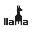LLM